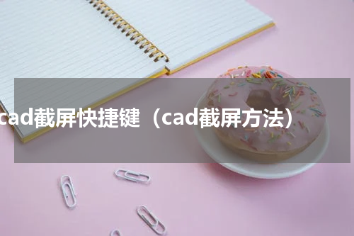 cad截屏快捷键（cad截屏方法）