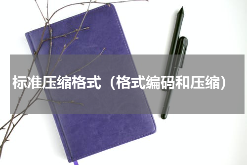 标准压缩格式（格式编码和压缩）