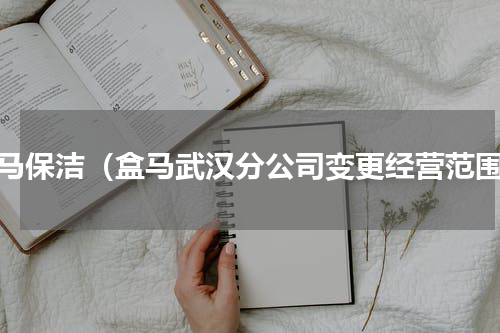 盒马保洁（盒马武汉分公司变更经营范围）
