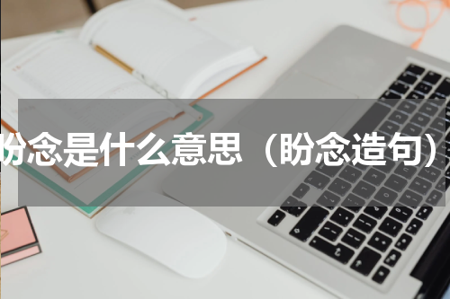 盼念是什么意思（盼念造句）
