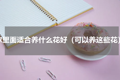 家里面适合养什么花好（可以养这些花）