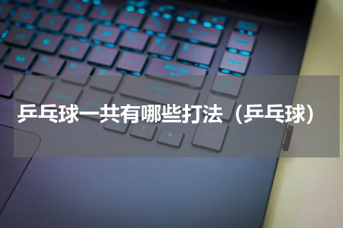 乒乓球一共有哪些打法（乒乓球）
