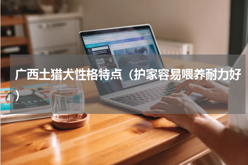 广西土猎犬性格特点（护家容易喂养耐力好）