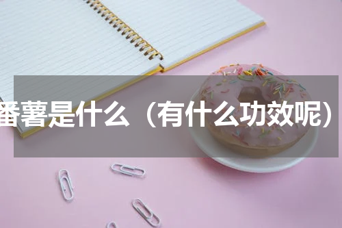 番薯是什么（有什么功效呢）