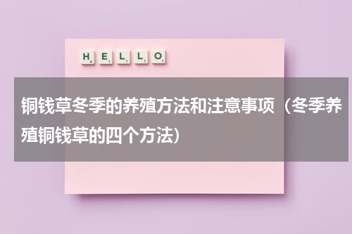 铜钱草冬季的养殖方法和注意事项（冬季养殖铜钱草的四个方法）