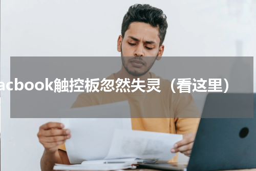 macbook触控板忽然失灵（看这里）