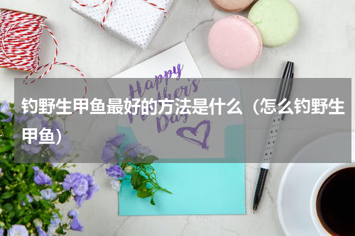 钓野生甲鱼最好的方法是什么（怎么钓野生甲鱼）