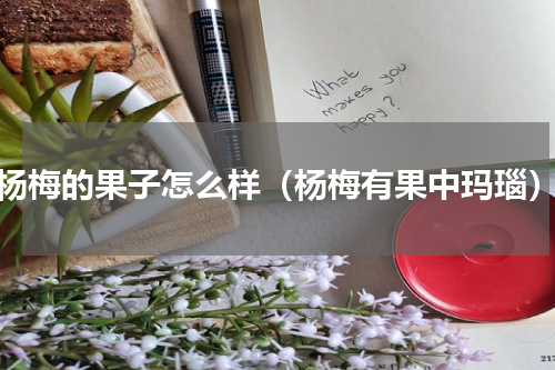 杨梅的果子怎么样（杨梅有果中玛瑙）