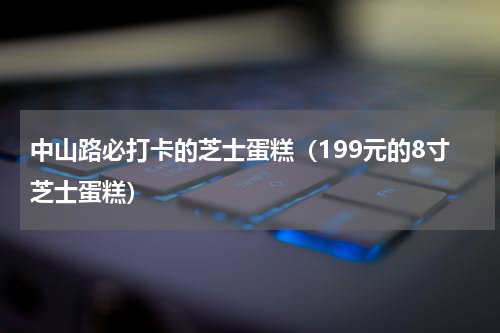 中山路必打卡的芝士蛋糕（199元的8寸芝士蛋糕）