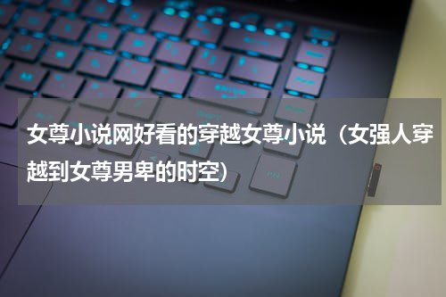 女尊小说网好看的穿越女尊小说（女强人穿越到女尊男卑的时空）