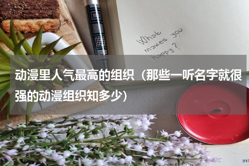 动漫里人气最高的组织（那些一听名字就很强的动漫组织知多少）