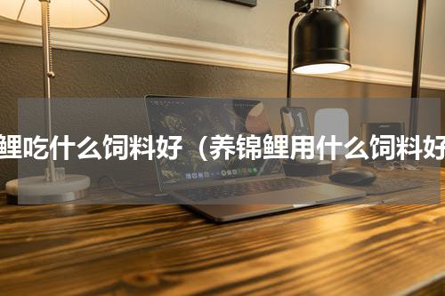 锦鲤吃什么饲料好（养锦鲤用什么饲料好）
