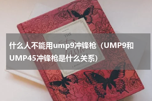 什么人不能用ump9冲锋枪（UMP9和UMP45冲锋枪是什么关系）