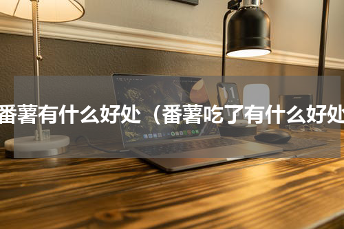 食番薯有什么好处（番薯吃了有什么好处）