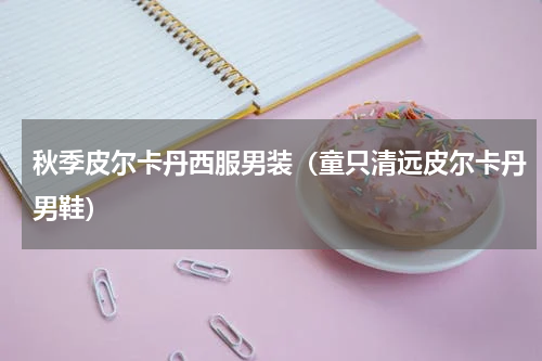 秋季皮尔卡丹西服男装（童只清远皮尔卡丹男鞋）