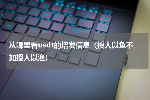 从哪里看usdt的增发信息（授人以鱼不如授人以渔）