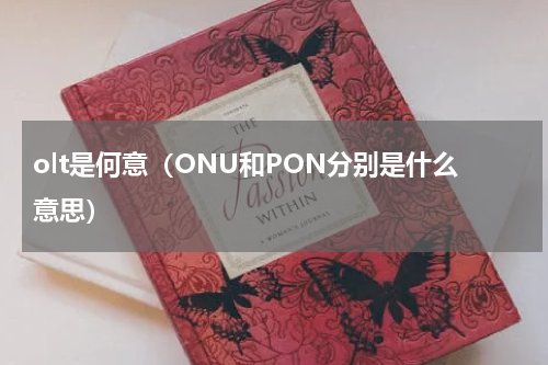 olt是何意（ONU和PON分别是什么意思）