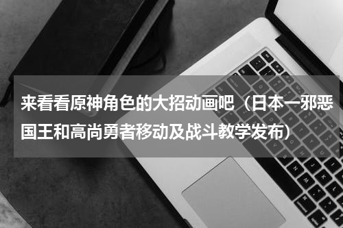 来看看原神角色的大招动画吧（日本一邪恶国王和高尚勇者移动及战斗教学发布）