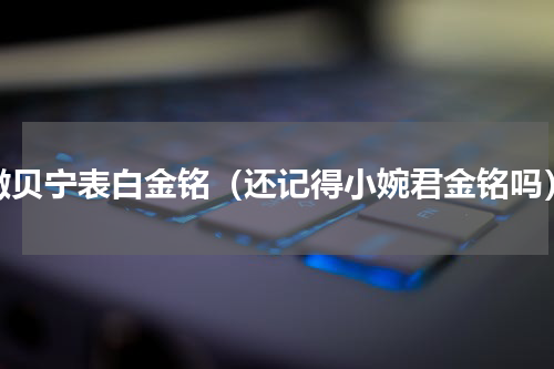 撒贝宁表白金铭（还记得小婉君金铭吗）