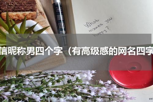 微信昵称男四个字（有高级感的网名四字）