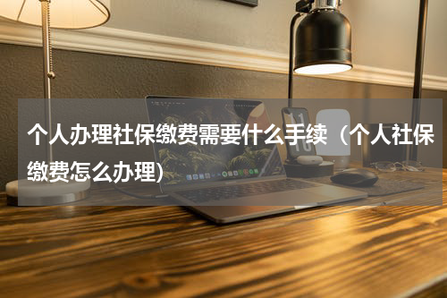 个人办理社保缴费需要什么手续（个人社保缴费怎么办理）