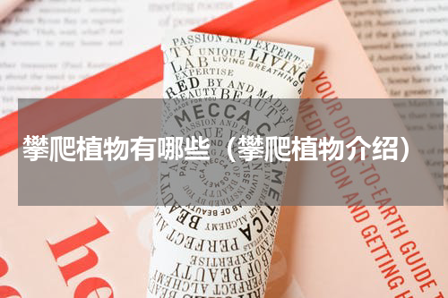 攀爬植物有哪些（攀爬植物介绍）