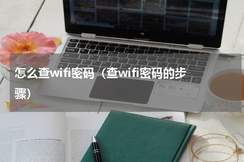 怎么查wifi密码（查wifi密码的步骤）