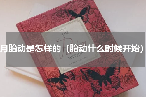 7月胎动是怎样的（胎动什么时候开始）