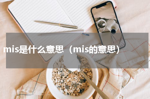 mis是什么意思（mis的意思）