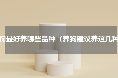 养狗最好养哪些品种（养狗建议养这几种）