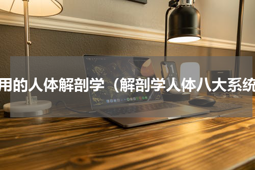 常用的人体解剖学（解剖学人体八大系统）