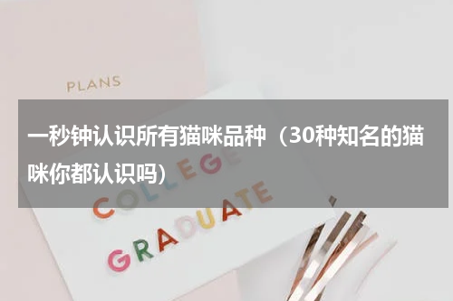 一秒钟认识所有猫咪品种（30种知名的猫咪你都认识吗）