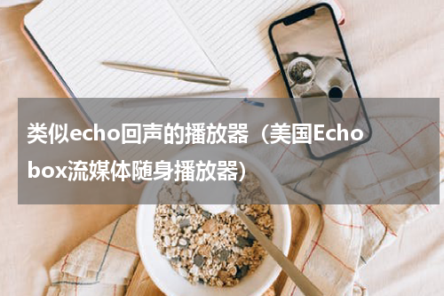 类似echo回声的播放器（美国Echobox流媒体随身播放器）