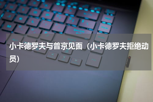 小卡德罗夫与普京见面（小卡德罗夫拒绝动员）