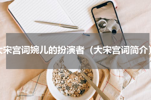 大宋宫词婉儿的扮演者（大宋宫词简介）