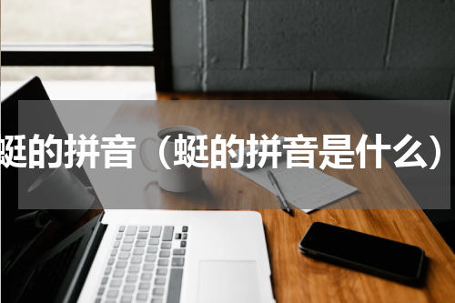 蜓的拼音（蜓的拼音是什么）