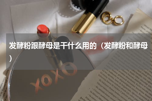 发酵粉跟酵母是干什么用的（发酵粉和酵母）