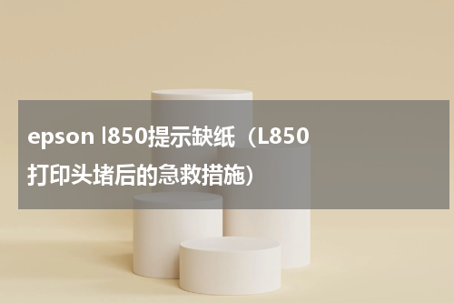 epson l850提示缺纸（L850打印头堵后的急救措施）