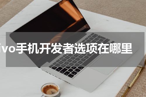 vivo手机开发者选项在哪里