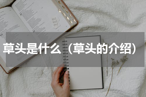 草头是什么（草头的介绍）