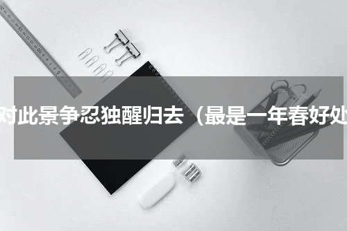 堪对此景争忍独醒归去（最是一年春好处）