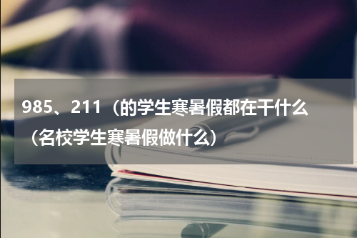 985、211（的学生寒暑假都在干什么（名校学生寒暑假做什么）