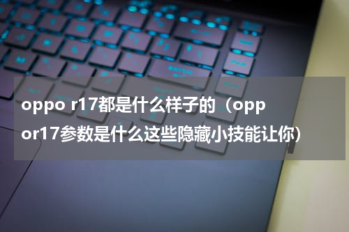oppo r17都是什么样子的（oppor17参数是什么这些隐藏小技能让你）