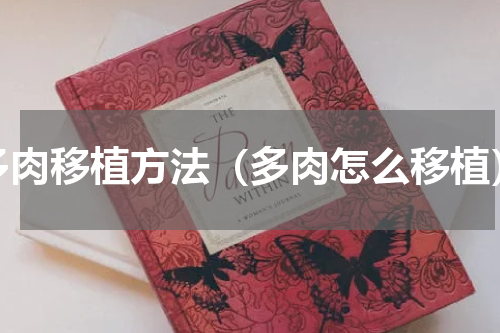 多肉移植方法（多肉怎么移植）