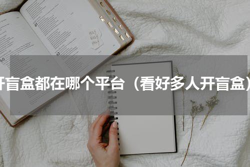 开盲盒都在哪个平台（看好多人开盲盒）