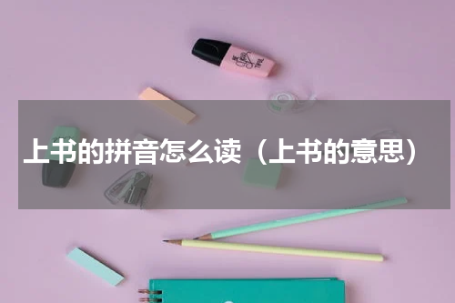 上书的拼音怎么读（上书的意思）
