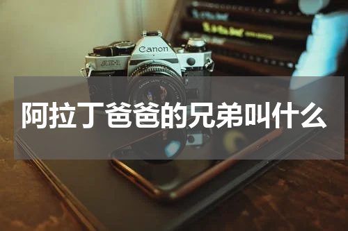 阿拉丁爸爸的兄弟叫什么