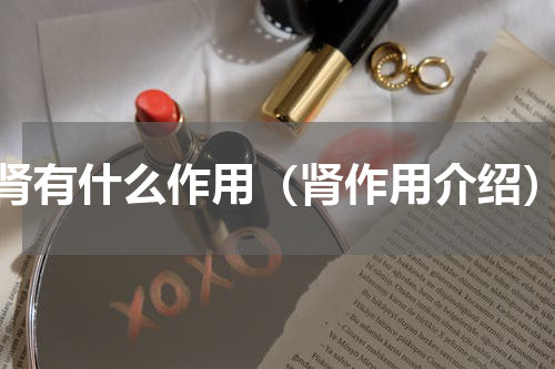 肾有什么作用（肾作用介绍）