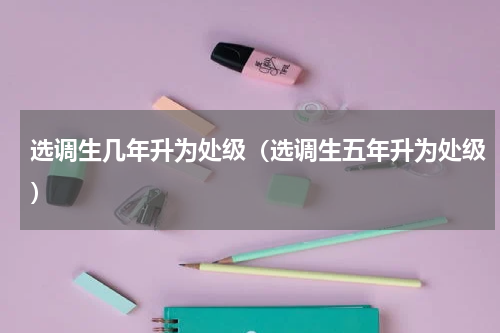 选调生几年升为处级（选调生五年升为处级）