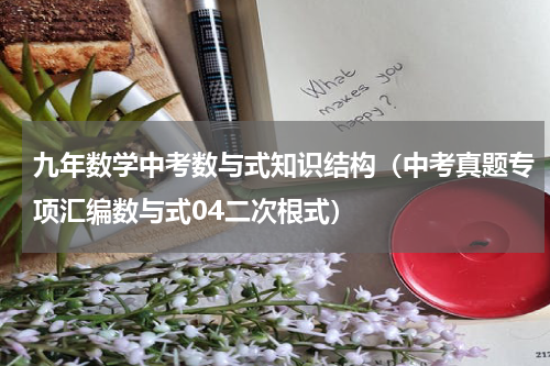 九年数学中考数与式知识结构（中考真题专项汇编数与式04二次根式）